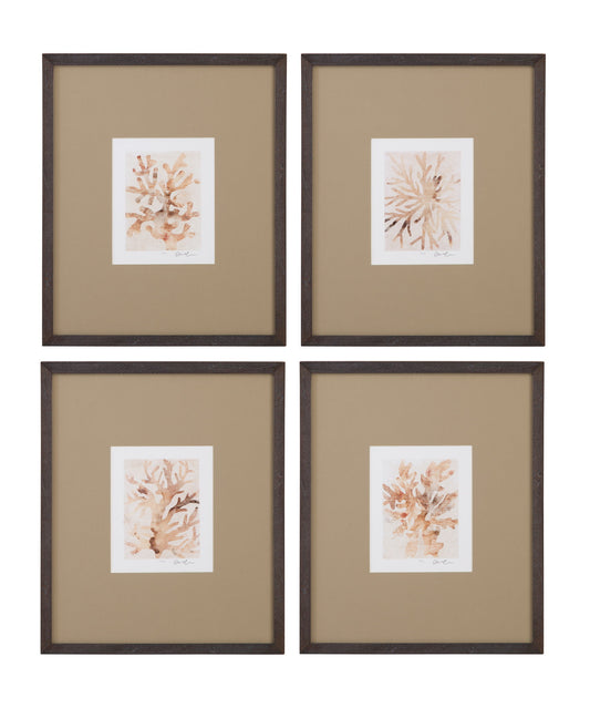 Parchment Coral II Framed Print - Brown