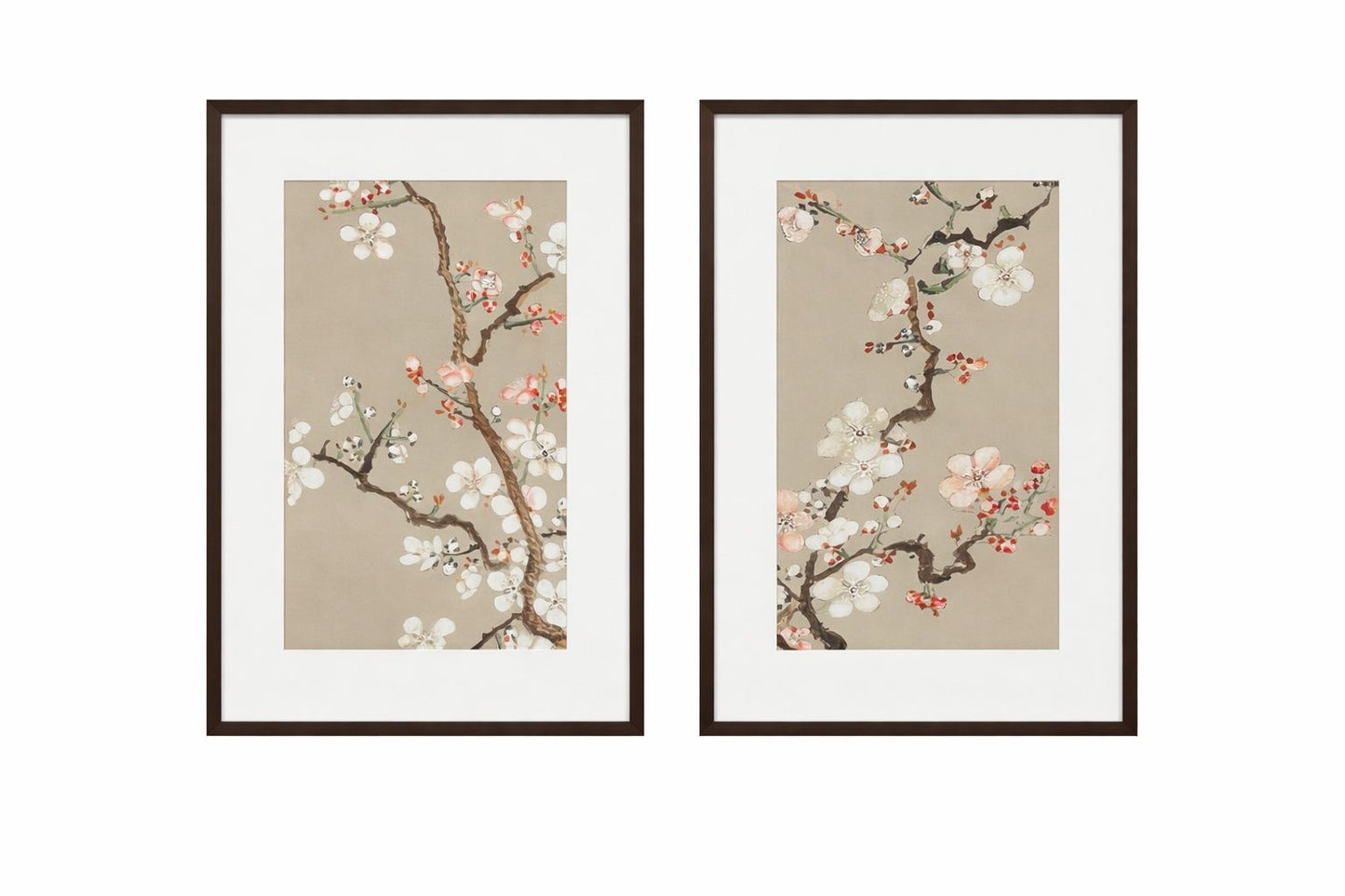 Pear Tree Framed Print (Set of 2) - Cream