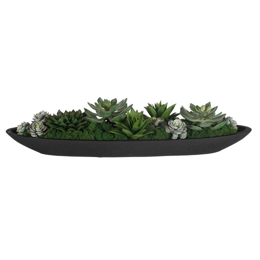 Verde - Succulent Centerpiece In Bowl - Black / Green