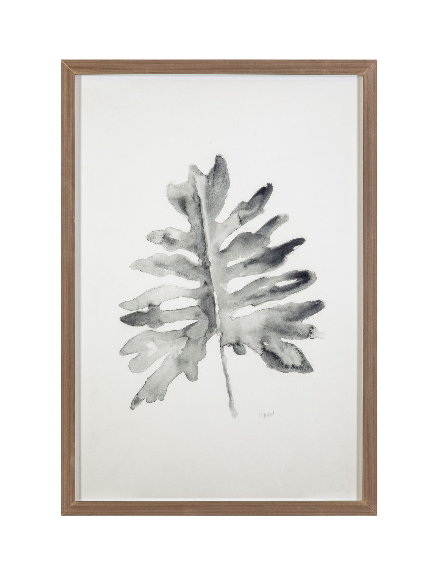 B & W Palm II Framed Print - White