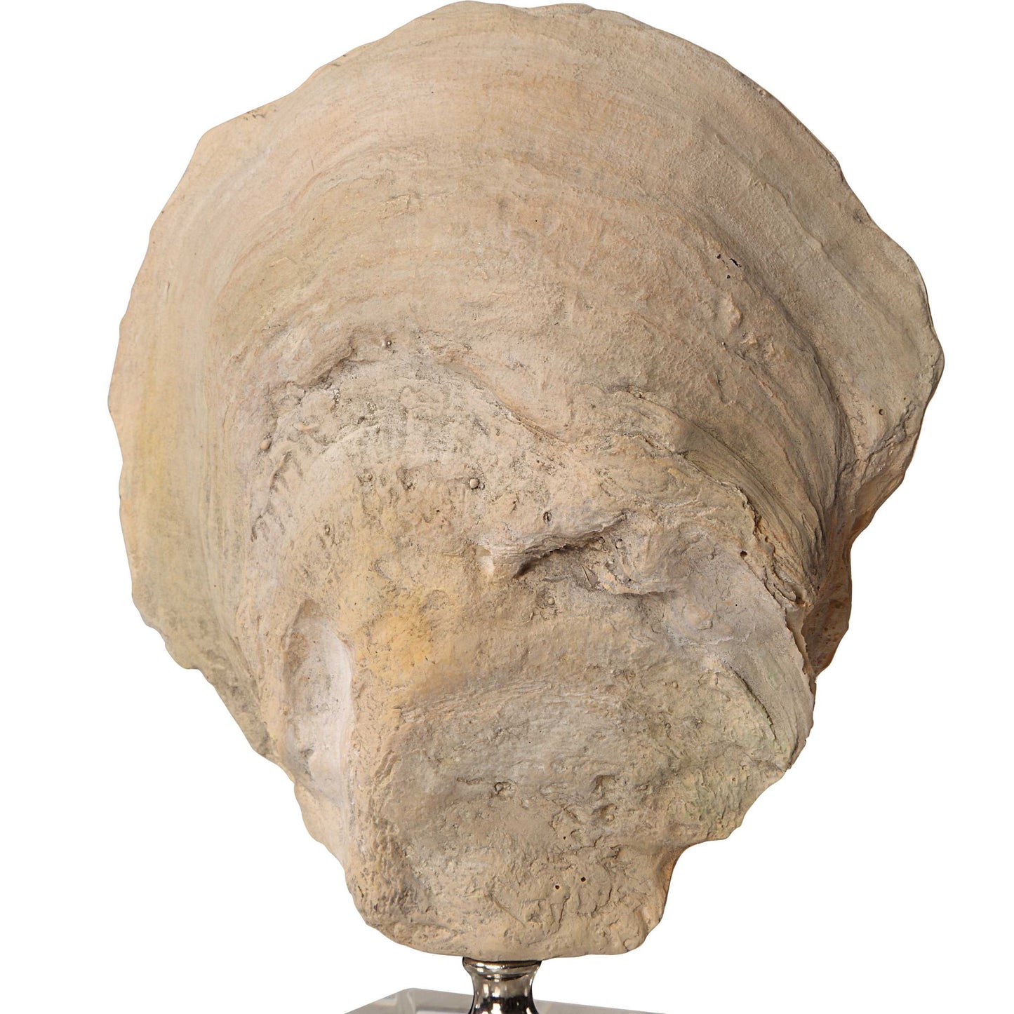 Oyster - Shell Sculptures (Set of 2) - Beige