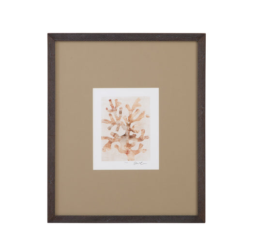 Parchment Coral I Framed Print - Brown