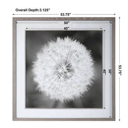 Dandelion Seedhead - Framed Print - Black