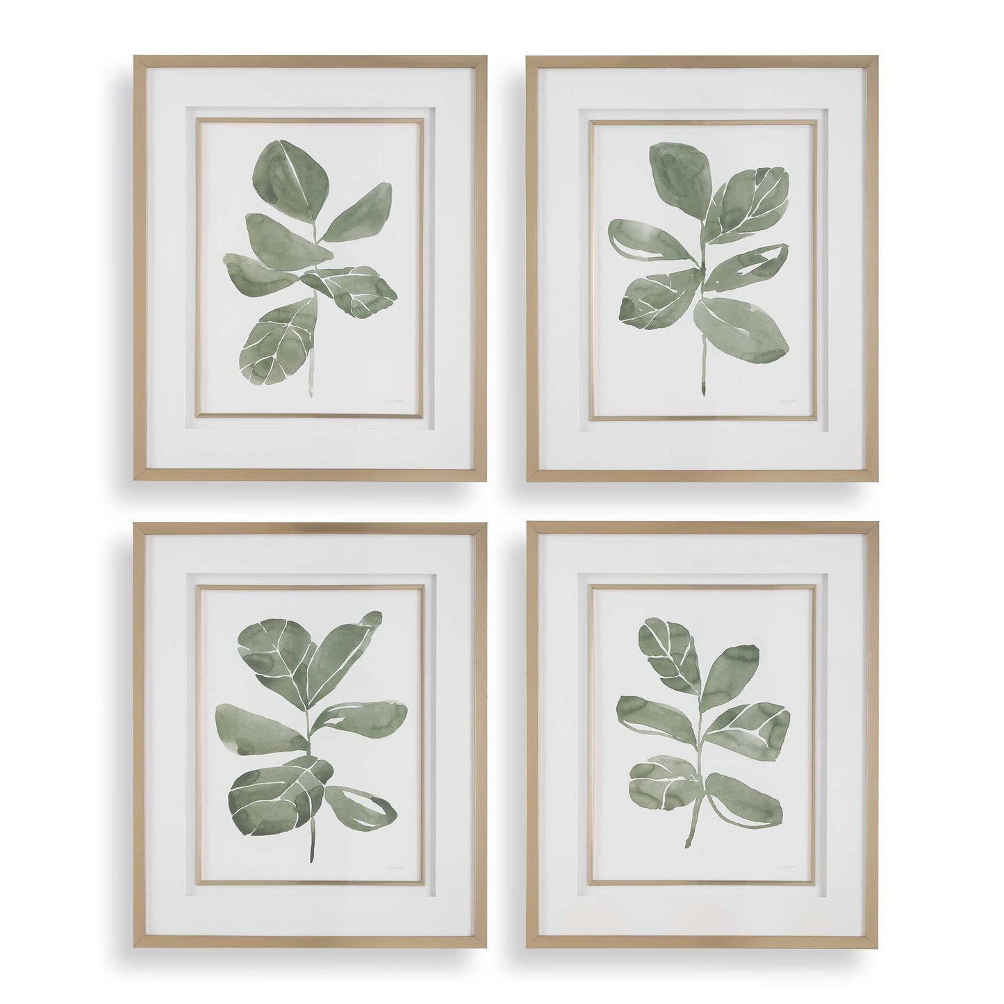 Fiddle Head - Leaf Botanical Prints (Set of 4) - Gold / Green / White