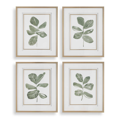 Fiddle Head - Leaf Botanical Prints (Set of 4) - Gold / Green / White