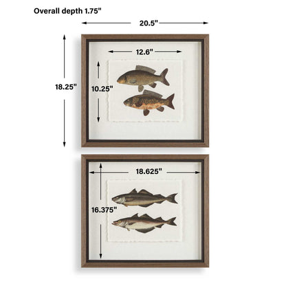 The Catch - Framed Fish Prints (Set of 2) - Black / Brown / Gray / Green / Orange / Woodtone