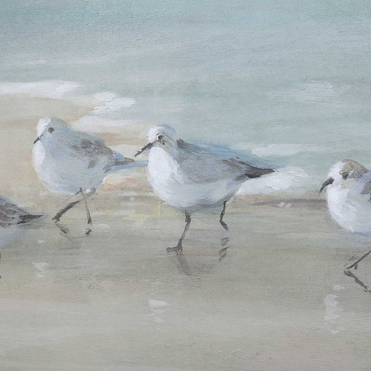 Tranquil Shorebirds On The Sand - Framed Print - Light Gray