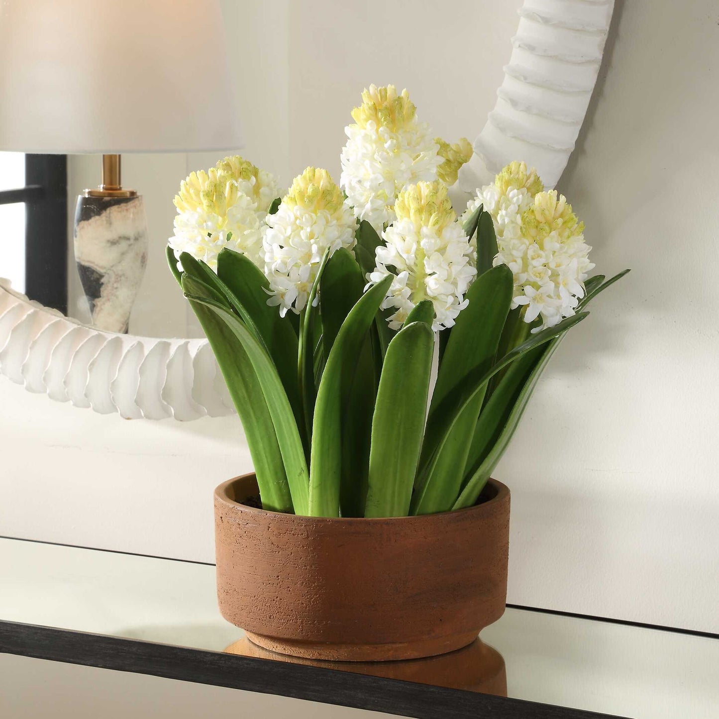 Sincerity - Potted Hyacinth Plant - Green