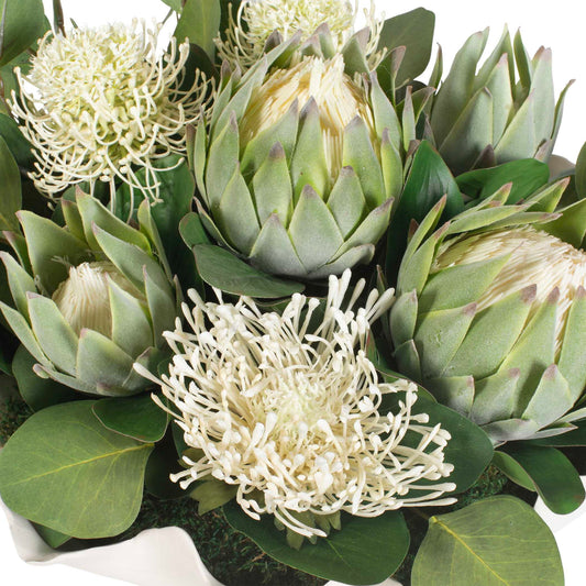 Protea Blooms - Bowl Centerpiece - Green / White