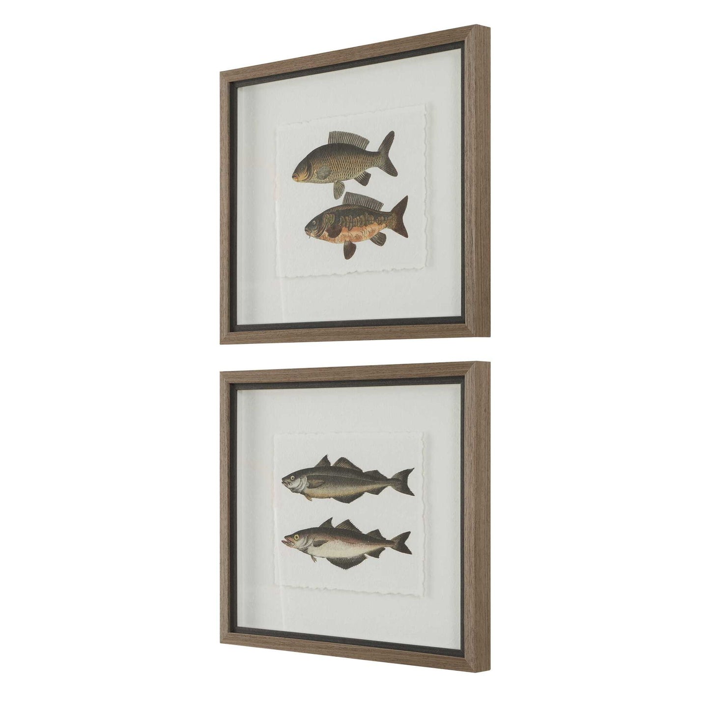 The Catch - Framed Fish Prints (Set of 2) - Black / Brown / Gray / Green / Orange / Woodtone