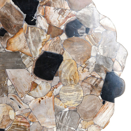 Norwest - Petrified Wood Coffee Table - Natural