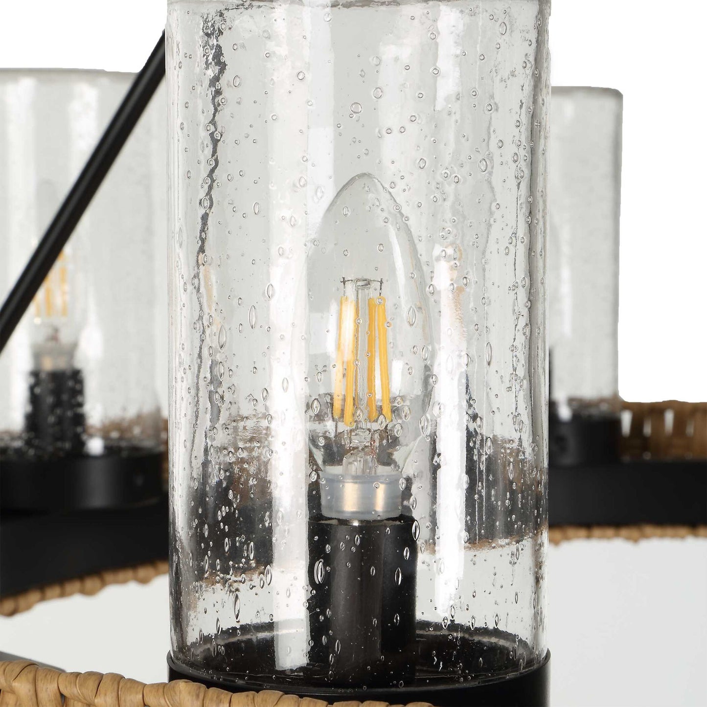 Palm Royal - 8 Light Indoor-Outdoor Chandelier - Black / Light Brown