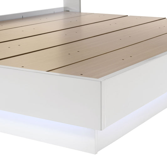 Paradox - Bed