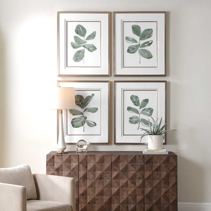Fiddle Head - Leaf Botanical Prints (Set of 4) - Gold / Green / White