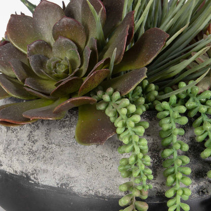 Yuma - Succulent Centerpiece - Gray