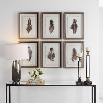 Birds Of A Feather - Framed Prints (Set of 6)