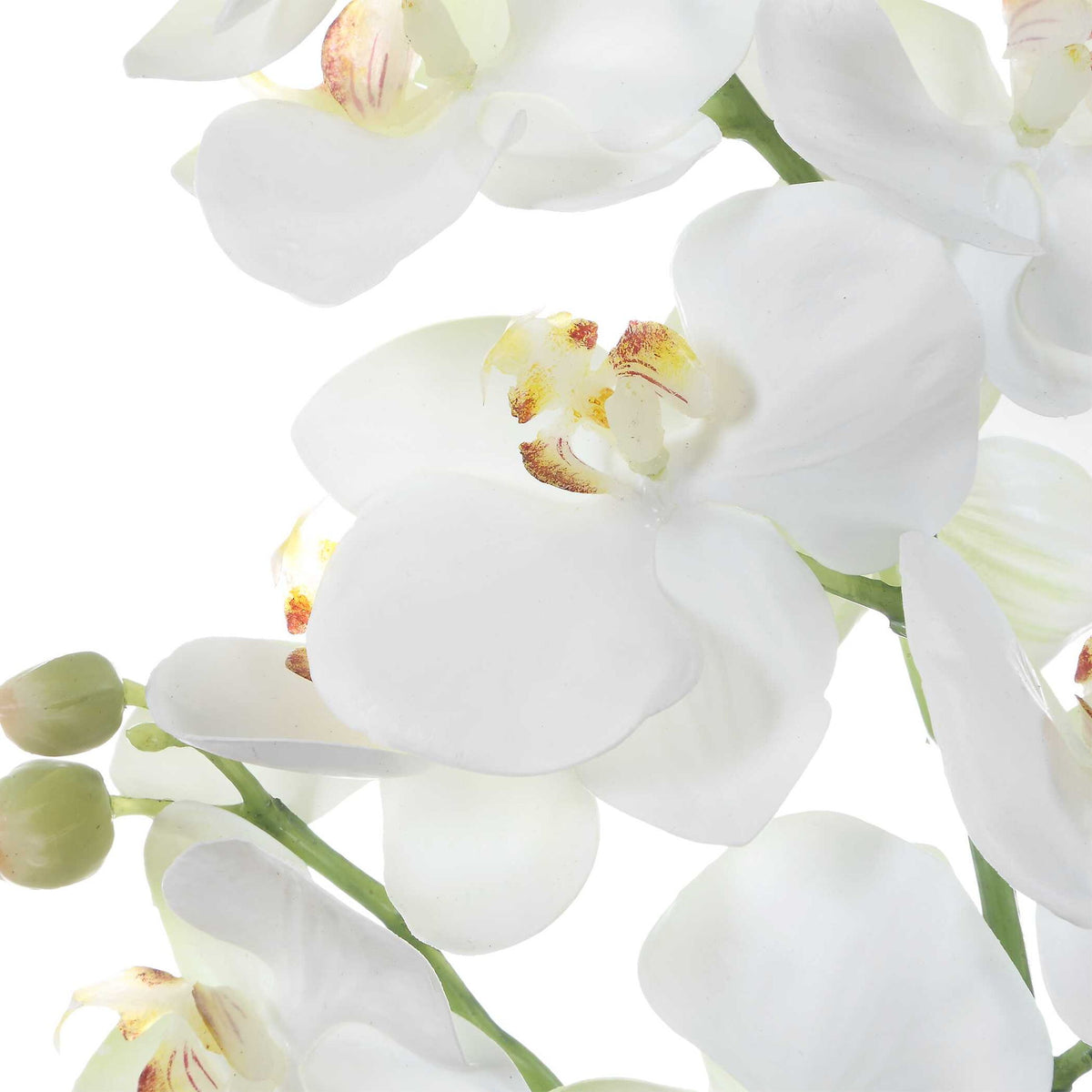Laris - Orchid Drop-In - White