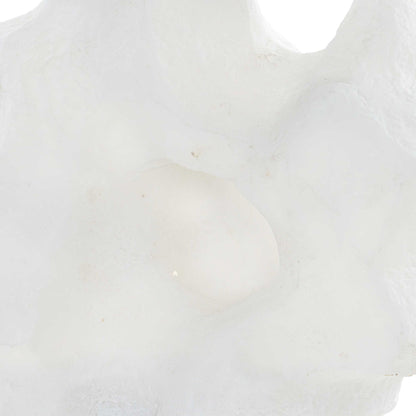 Remnant - Sculptures (Set of 2) - White