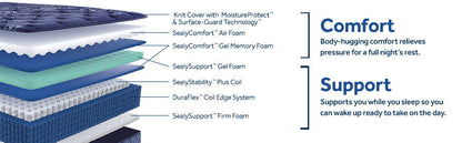 Forsyth Park - Medium Tight Top Mattress