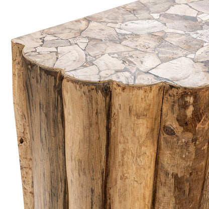 Norwest Petrified - Wood Console Table - Natural