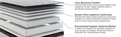 Amplify Exclusive - Momentum Medium Pillowtop Mattress