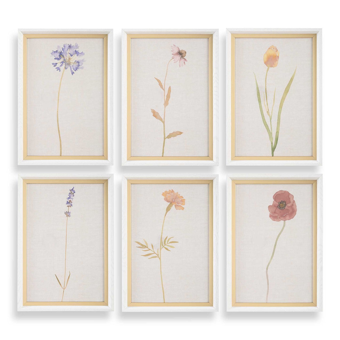 Wild Flourish - Framed Floral Prints (Set of 6) - Light Brown