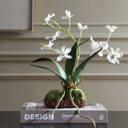 Clovis - Orchid Drop-In - White