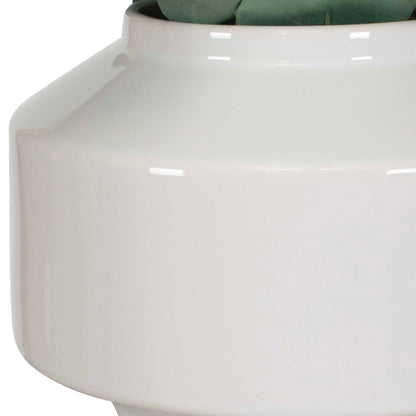 Essence Eucalyptus - Accent & Vase - Green / White
