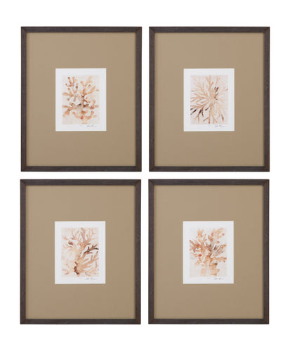 Parchment Coral Framed Print (Set of 4) - Brown