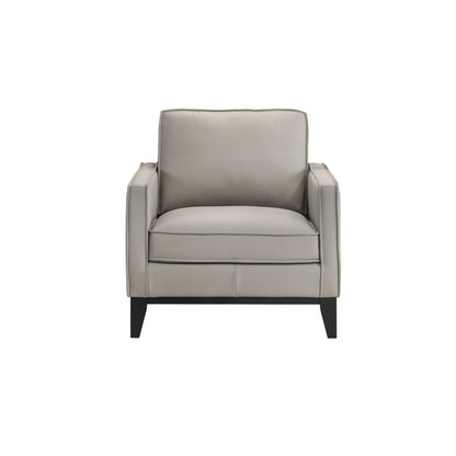 Aaron - Chair - Mist Gray