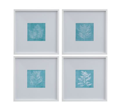 White Coral On Blue IV Framed Print - Blue / White