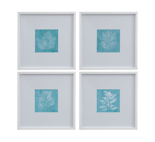 White Coral On Blue IV Framed Print - Blue / White