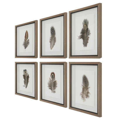 Birds Of A Feather - Framed Prints (Set of 6)