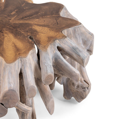 Cypress - Root Coffee Table - Natural White Wash