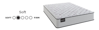 Amplify Exclusive - Momentum Soft Tigh Top Mattress