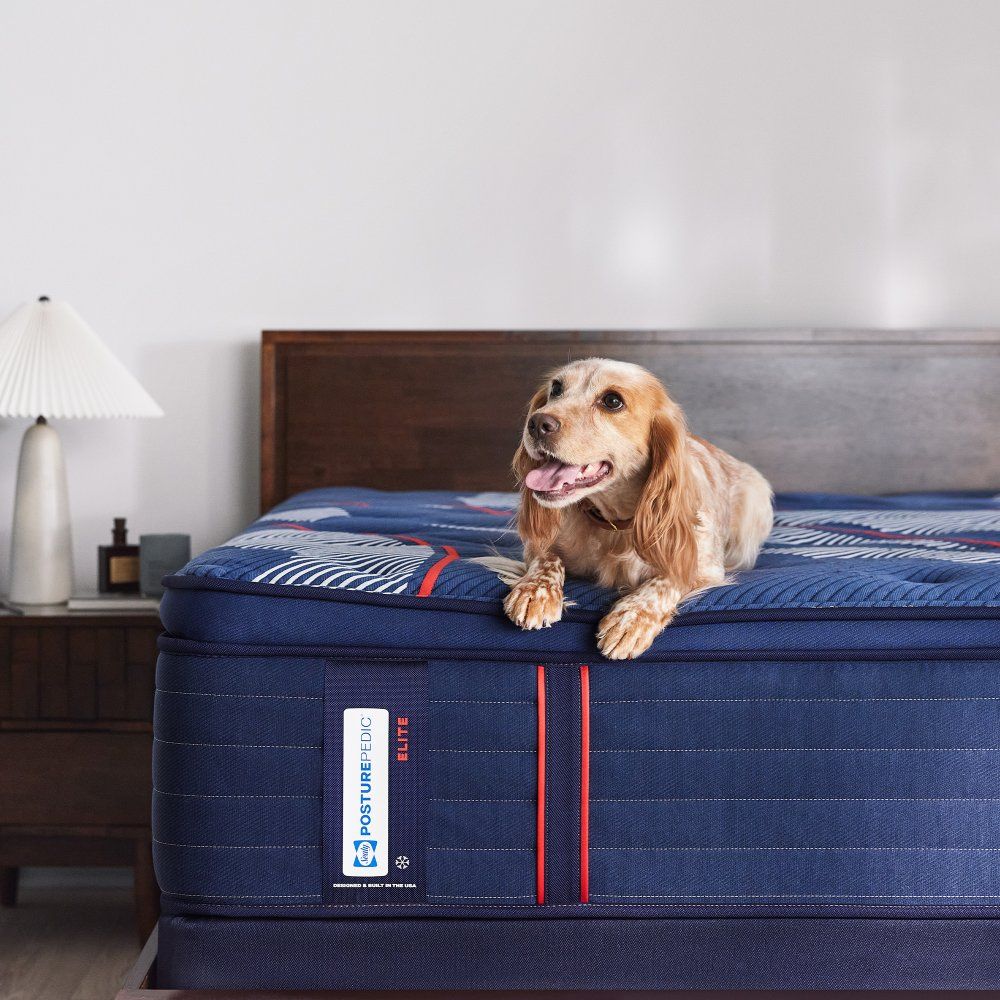 Posturepedic Elite - Albany II Euro Pillow Top Soft Mattress