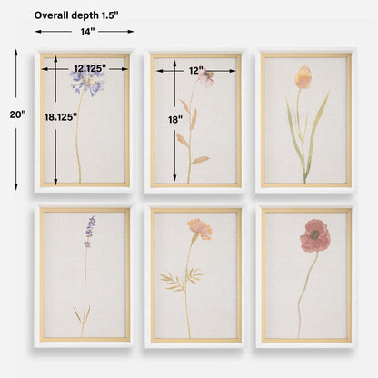 Wild Flourish - Framed Floral Prints (Set of 6) - Light Brown