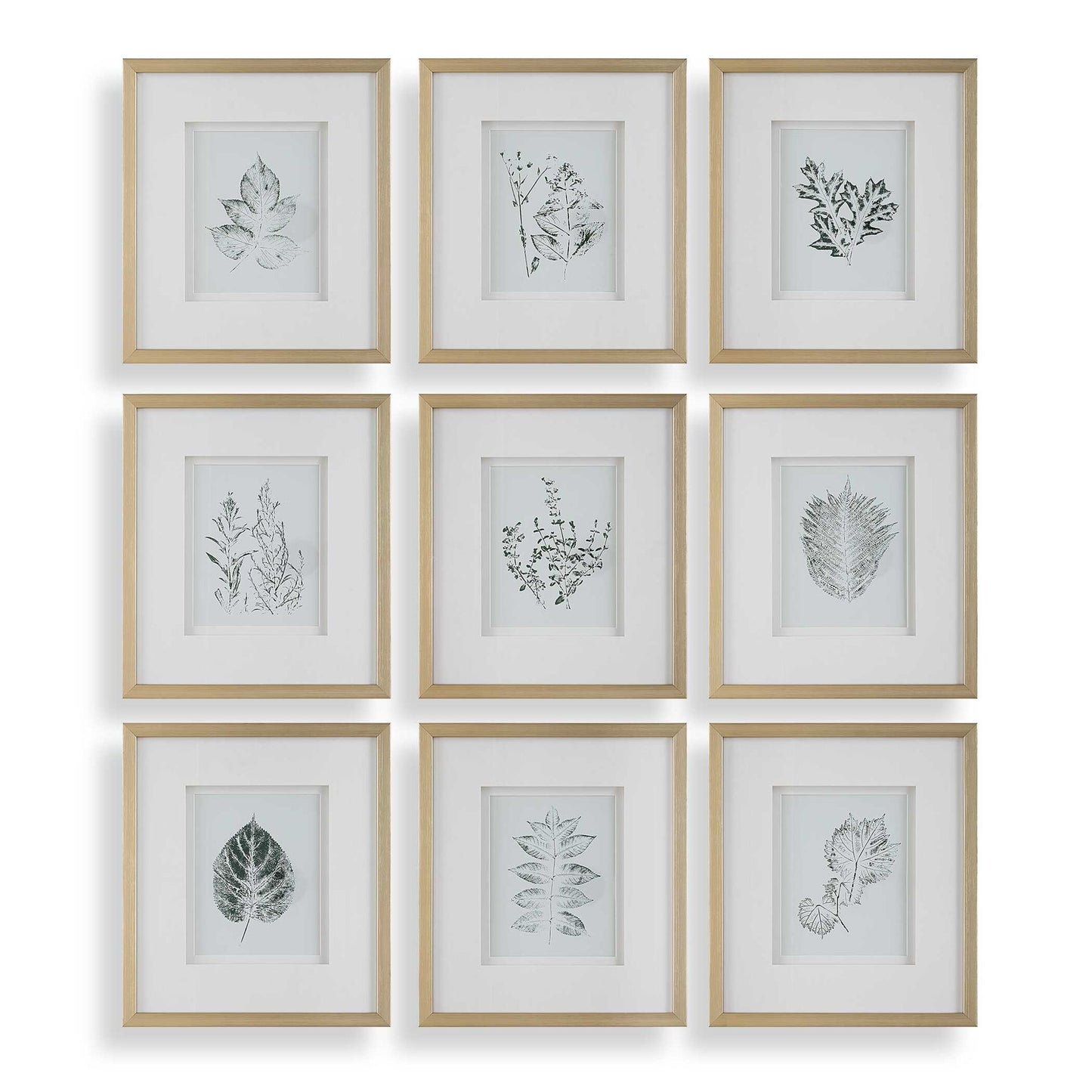 Nature's - Script Framed Botanical Prints (Set of 9) - Gold / Green / White