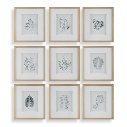 Nature's - Script Framed Botanical Prints (Set of 9) - Gold / Green / White