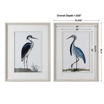 Shore Birds - Framed Prints (Set of 2) - Black