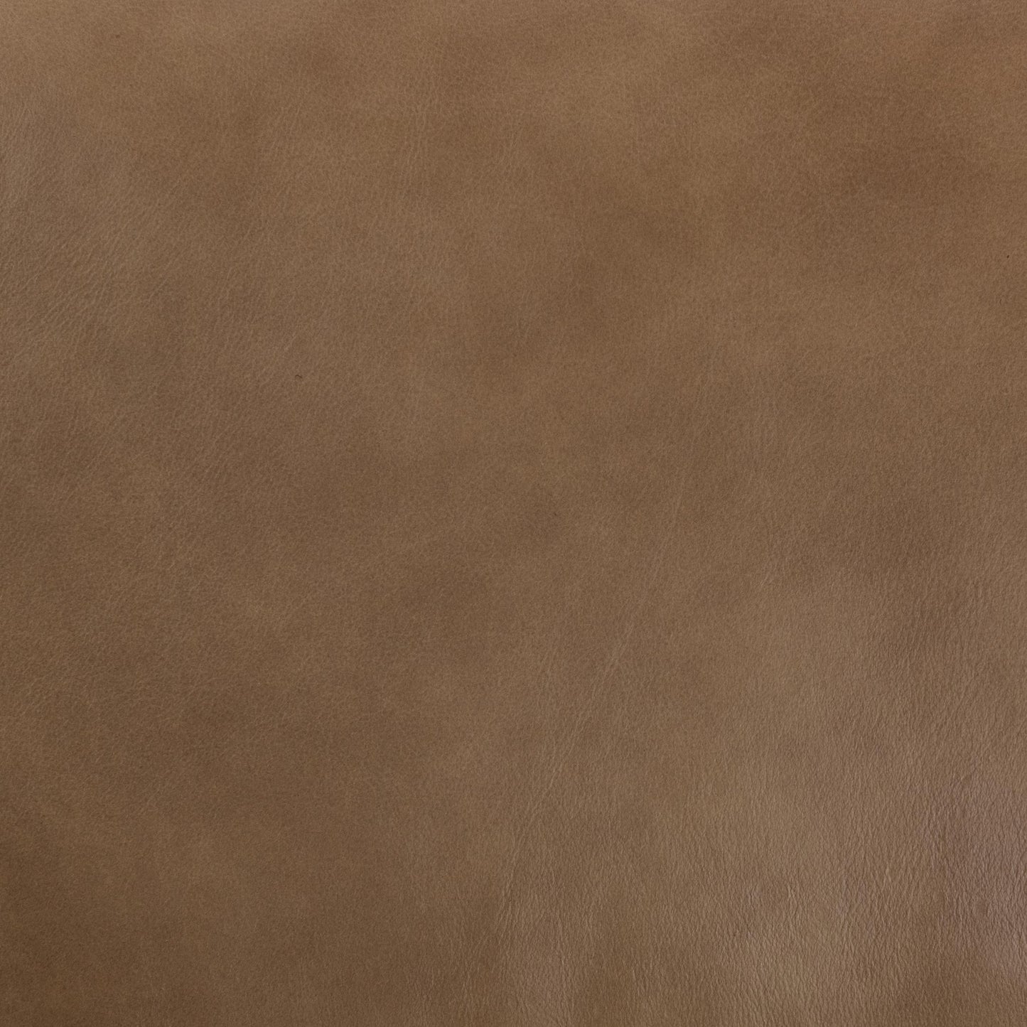 Kadon - Leather Power Recliner Sofa - Tan