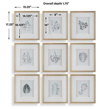 Nature's - Script Framed Botanical Prints (Set of 9) - Gold / Green / White