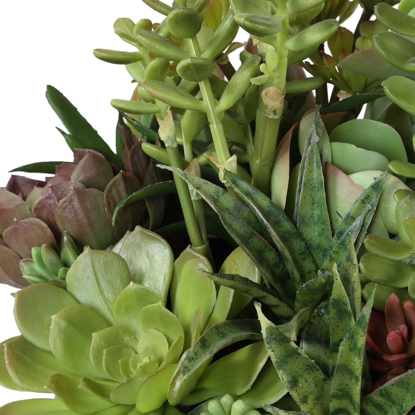 Mico - Indoor-Outdoor Succulent Centerpiece - Black,Green