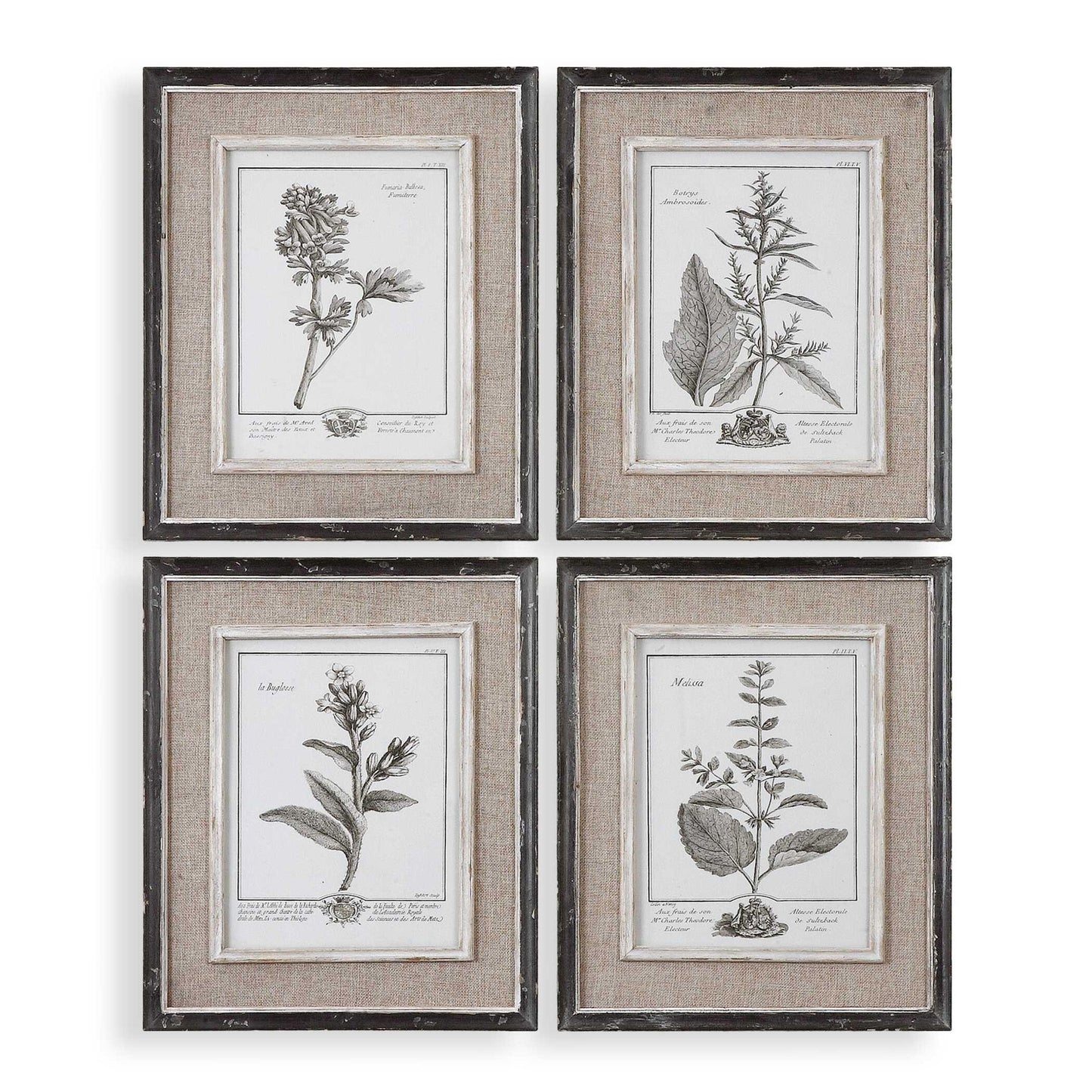 Casual Gray Study - Framed Art (Set of 4) - Beige