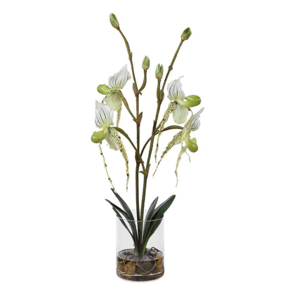 Lady - Slipper Orchid In Glass Vase - Green,White