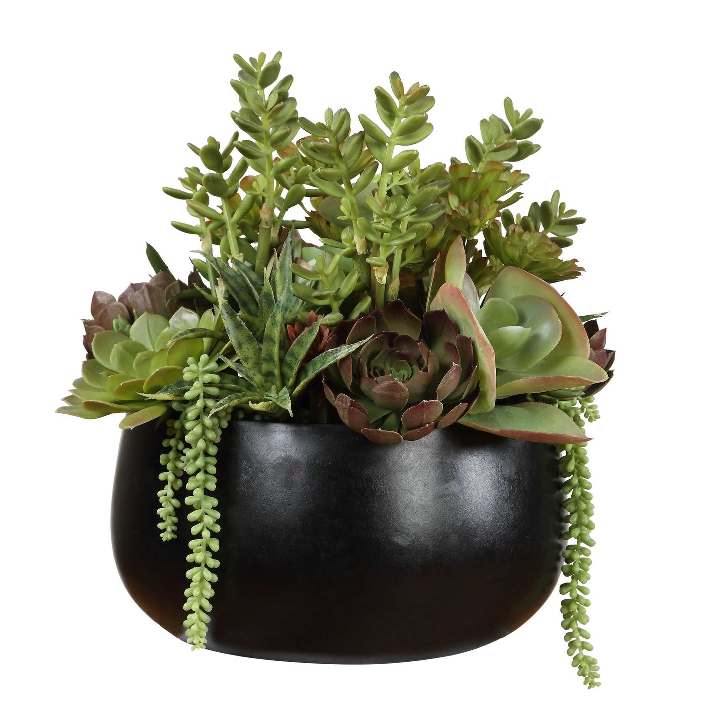 Mico - Indoor-Outdoor Succulent Centerpiece - Black,Green