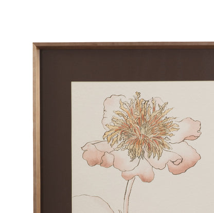 Sketchbook Blooms Delicate Framed Print - Peach / Black / Brown
