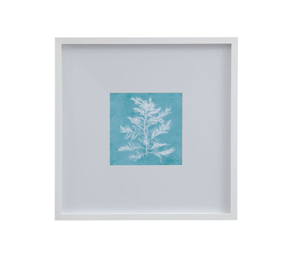 White Coral On Blue IV Framed Print - Blue / White