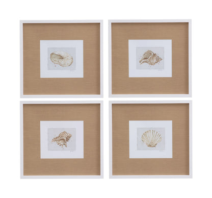 Neutral Shell Fresco I Framed Print - Light Brown / White
