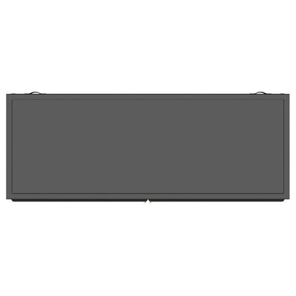 Dalia - 2 Door Accent Storage Cabinet With Shelving - Black